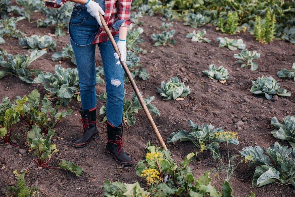 garden-safety-scaled.jpg