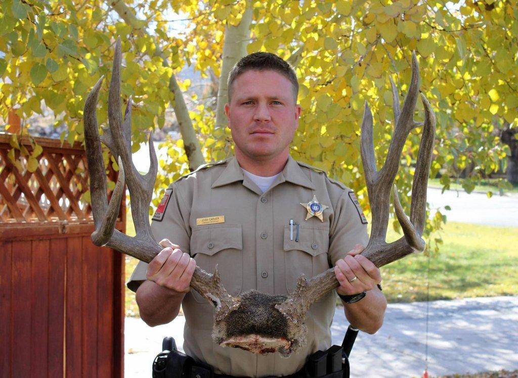 joshua_carver_11-2011_poached_buck_deer_in_sw_utah.jpg