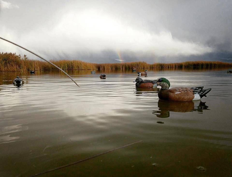 mark_mcewen_9-18-2018_hunting_over_duck_decoys.jpg