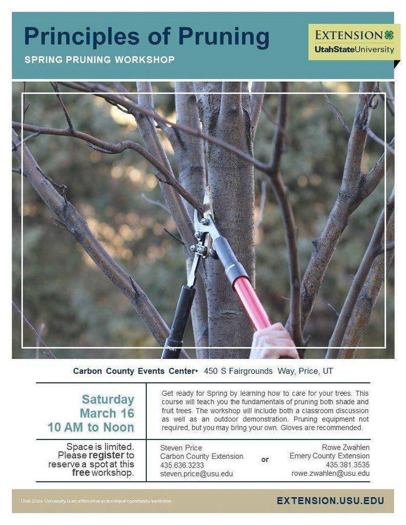 pruning-flyer.jpg