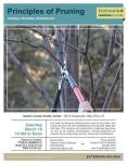 pruning-flyer.jpg