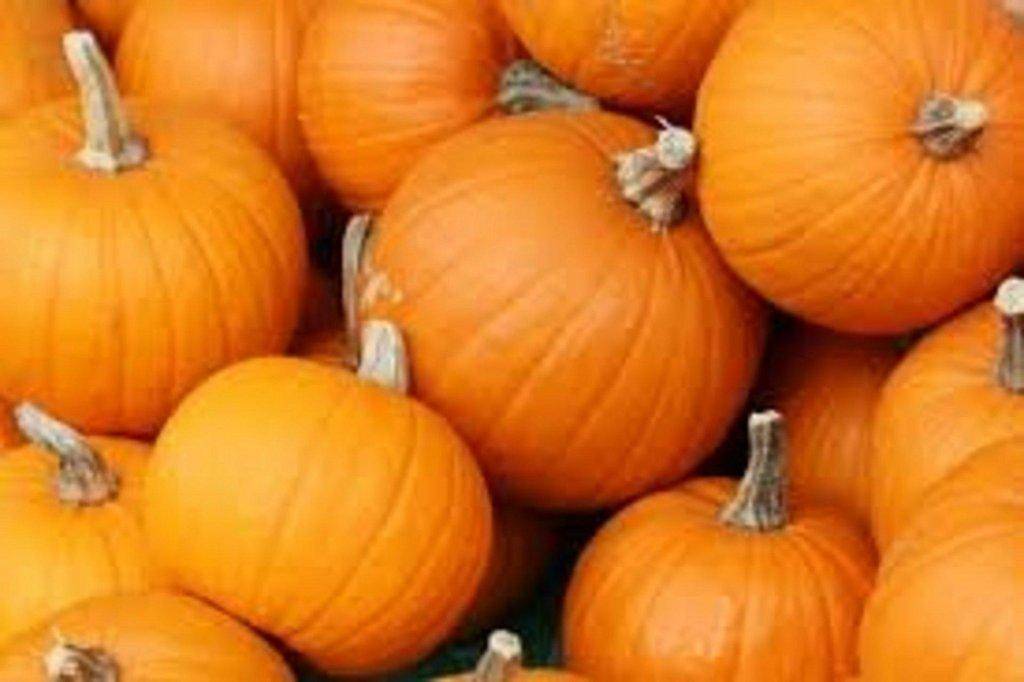 pumpkins.jpg