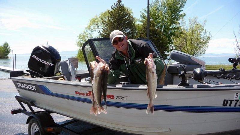 ray_schelble_6-25-2010_walleyes_caught_at_willard_bay.jpg