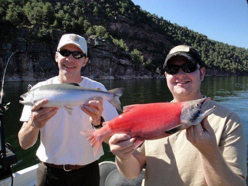 ron_6-2-2014_kokanee_salmon_silver_and_red.jpg