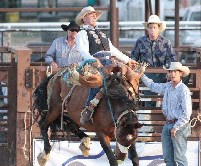 saddle-bronc.jpg