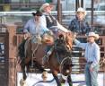 saddle-bronc.jpg