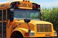 school-bus-4406479_1280.jpg