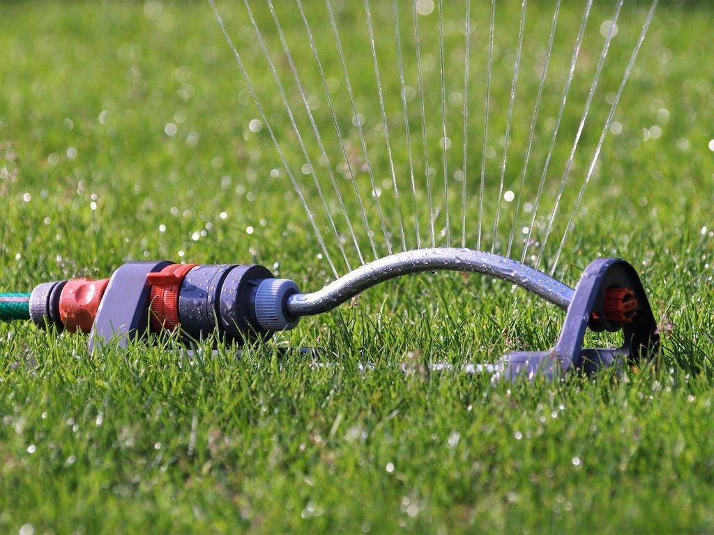 sprinkler-2366751_1920.jpg