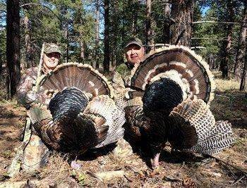 turkey-hunt.jpg