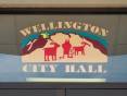 wellington-city-hall.jpg
